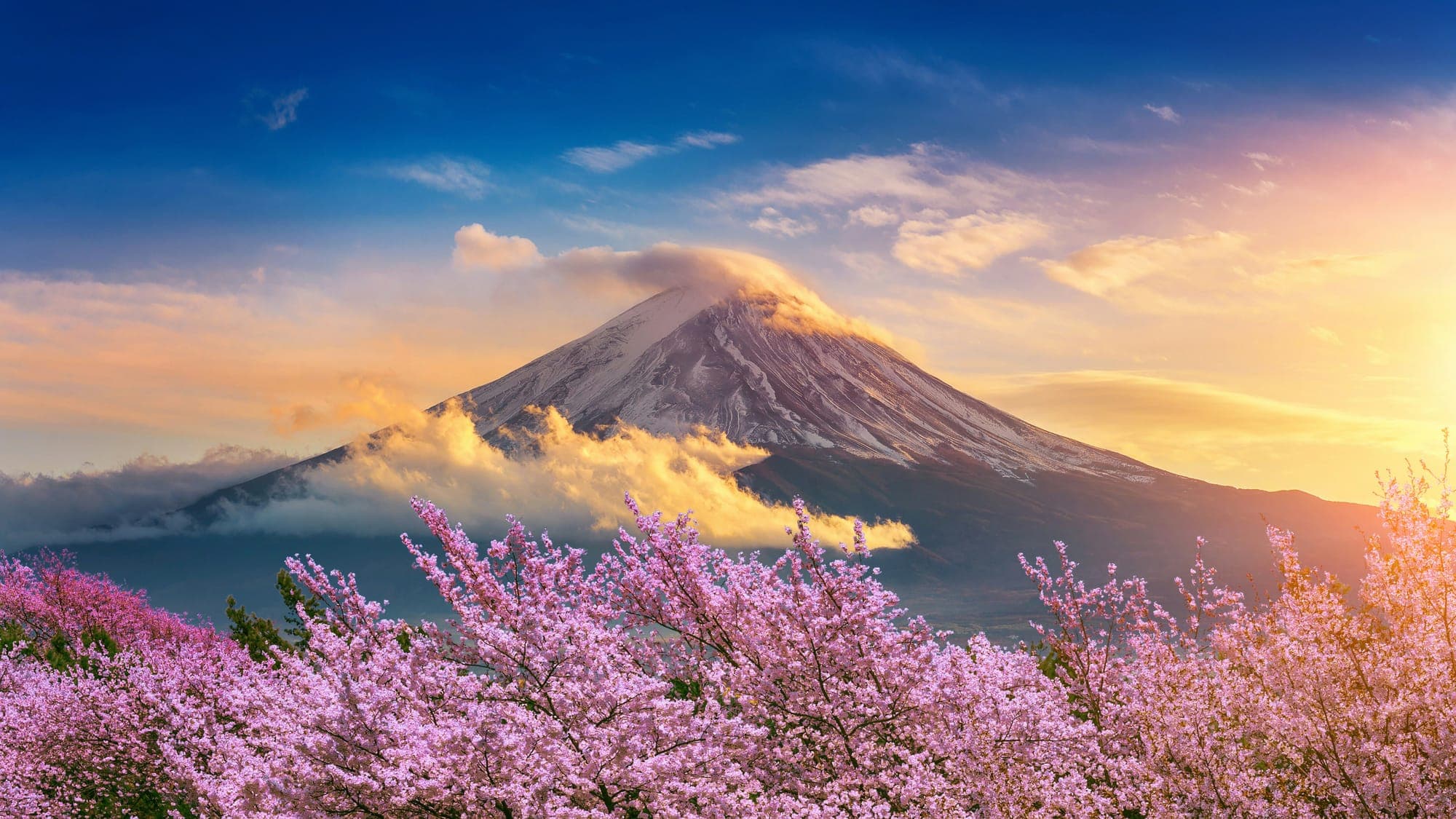 Japan Digital Nomad Visa
